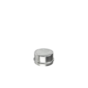 dust-cap