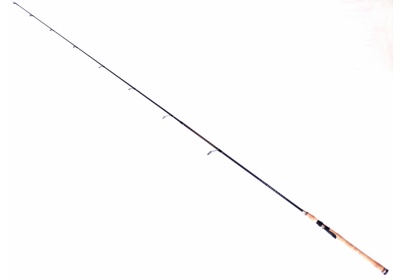 takedo_coastal_spinning_4_12lb_a